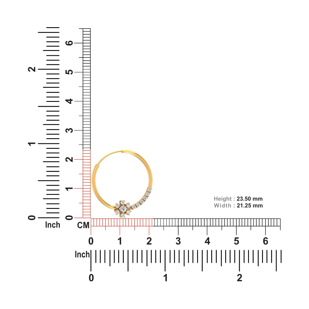 Tarabai Diamond Nose Ring