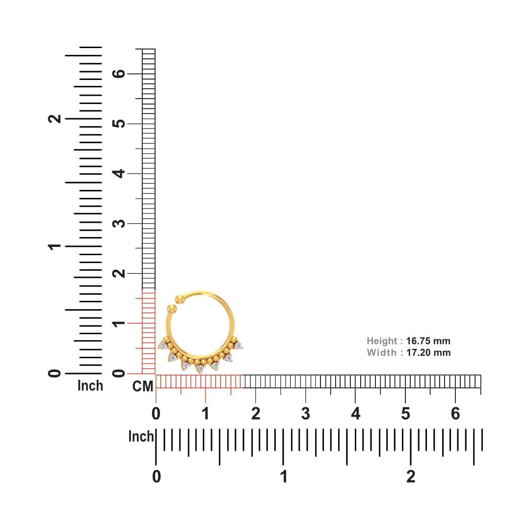 Gujarat Tribal Nose Ring