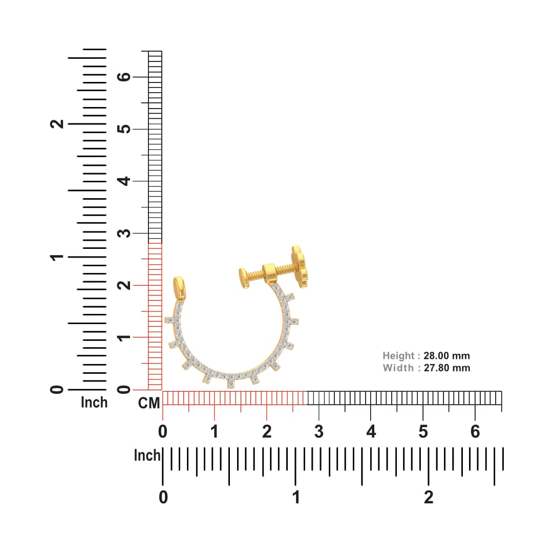 South Screw Nose Pin
