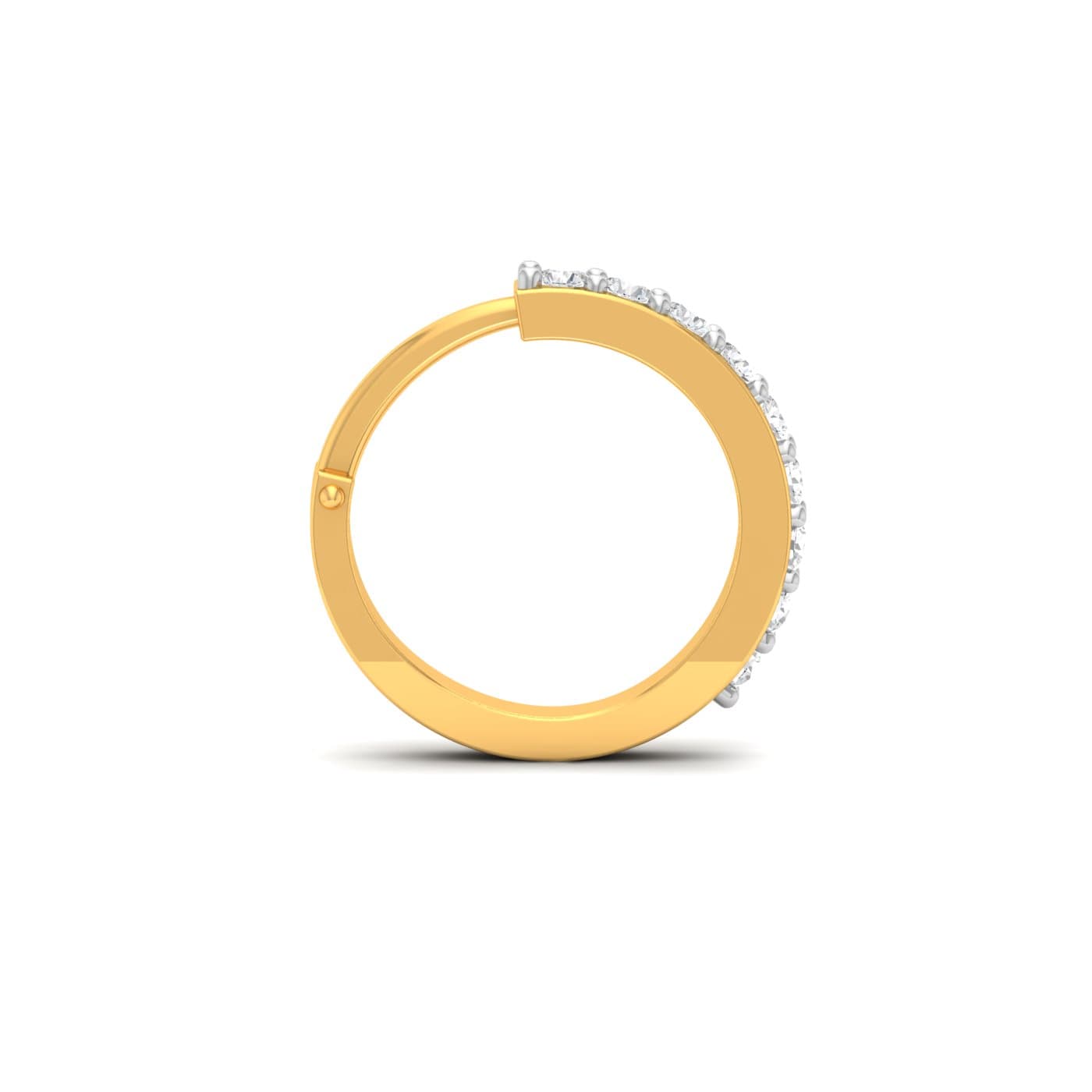 Sania Mirza Nose Ring
